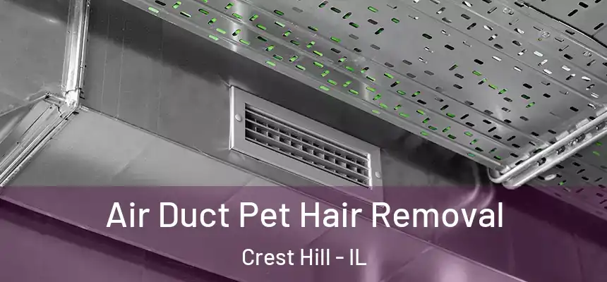 Air Duct Pet Hair Removal Crest Hill - IL