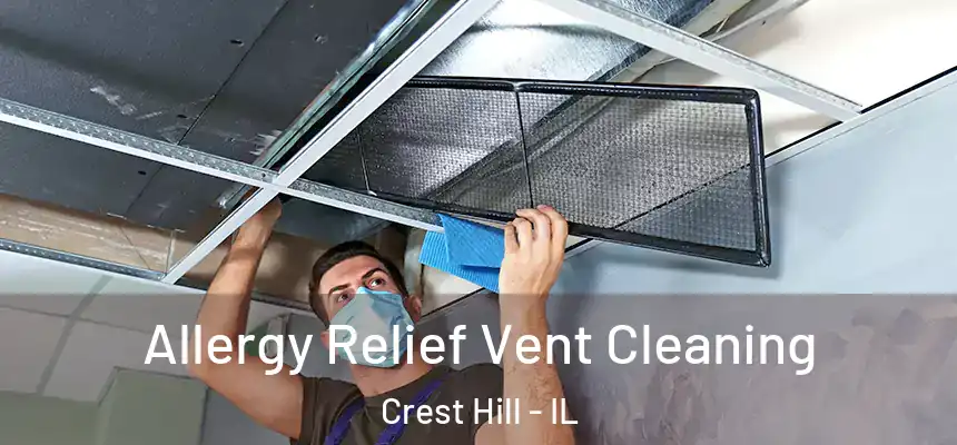  Allergy Relief Vent Cleaning Crest Hill - IL