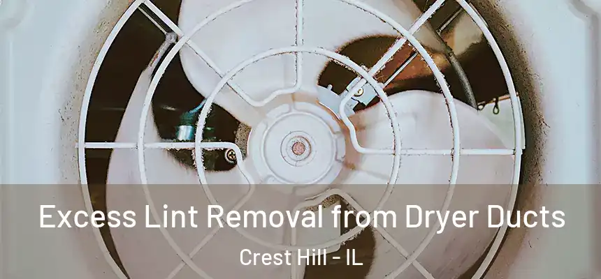 Excess Lint Removal from Dryer Ducts Crest Hill - IL