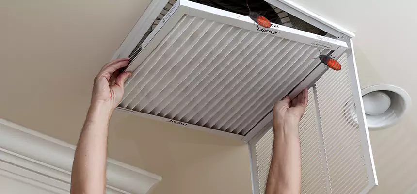 Preventive Cockroach-Proofing for Ducts in Crest Hill