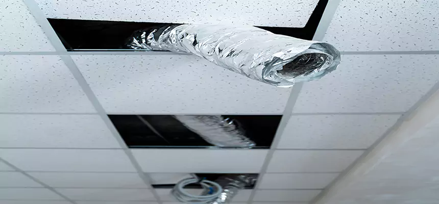 Our Air Duct Pet Hair Removal Services in Crest Hill, IL