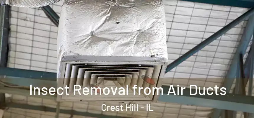  Insect Removal from Air Ducts Crest Hill - IL