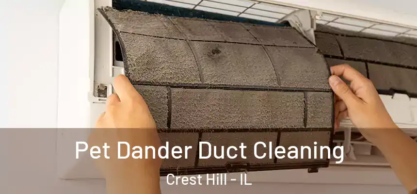  Pet Dander Duct Cleaning Crest Hill - IL