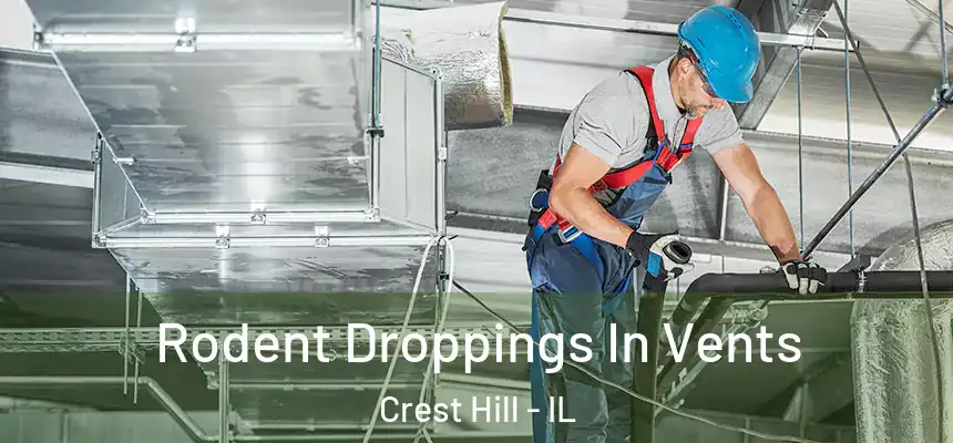  Rodent Droppings In Vents Crest Hill - IL