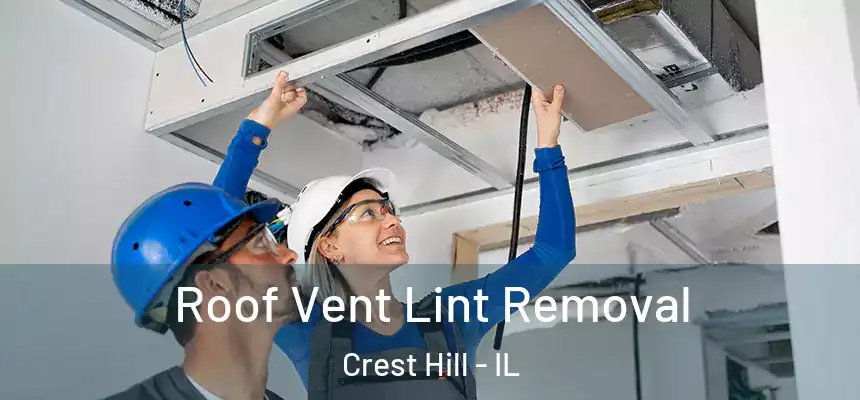 Roof Vent Lint Removal Crest Hill - IL