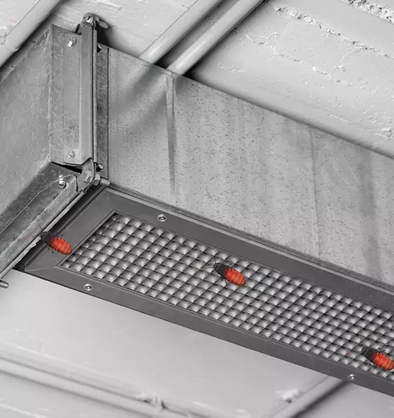 About Air Duct Cockroach Removal in Crest Hill, IL