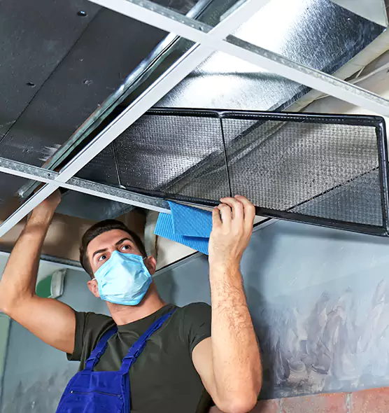 Professional Air Duct Pollen Cleaning in Crest Hill, IL