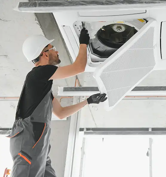 About Air Duct Rodent Removal in Crest Hill, IL