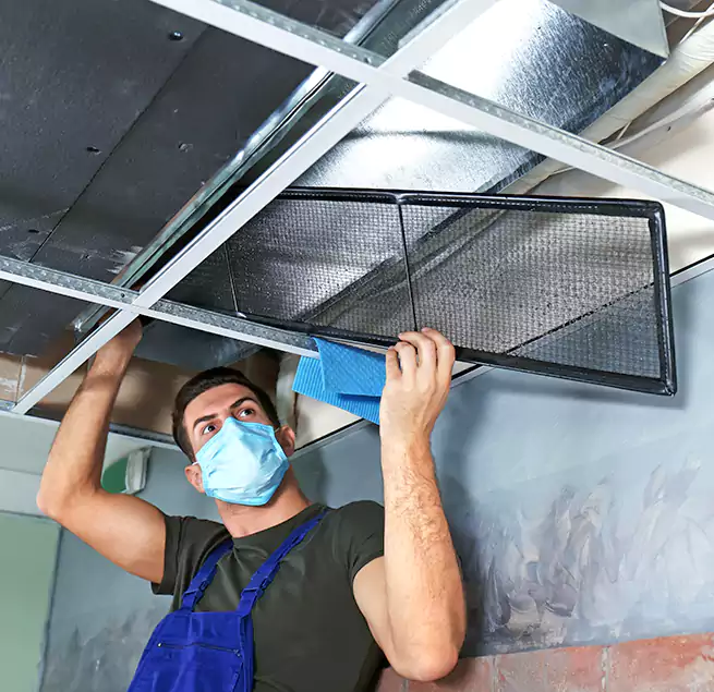 Why Homeowners Businesses Trust Us in Crest Hill, IL